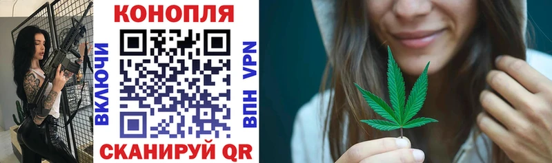 Наркошоп купить COCAIN  Амфетамин  ГАШ  Alpha PVP  Псилоцибиновые грибы  Меф мяу мяу  МАРИХУАНА  Судогда