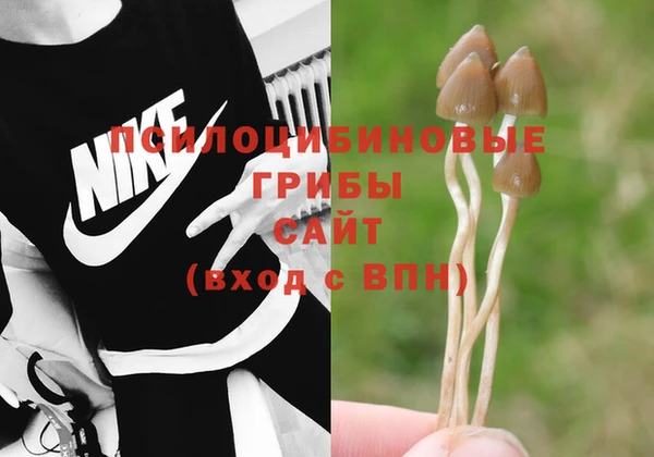 амф Верхний Тагил