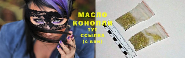 амф Верхний Тагил
