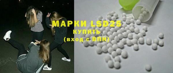 амф Верхний Тагил