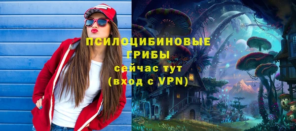 амф Верхний Тагил