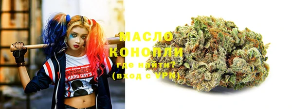 амф Верхний Тагил