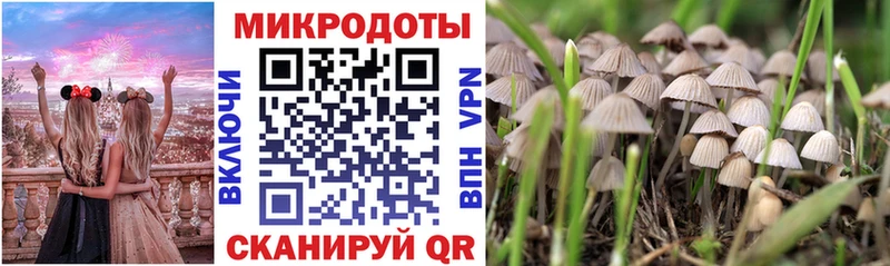 Галлюциногенные грибы Psilocybe  Купить где  Судогда 